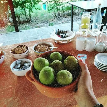 Punto Bed & Breakfast