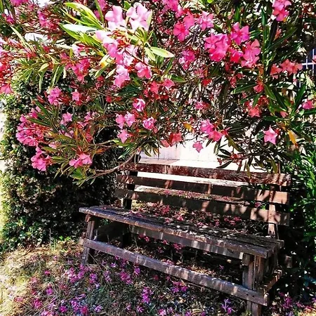 Bed & Breakfast Punto Ardore Marina